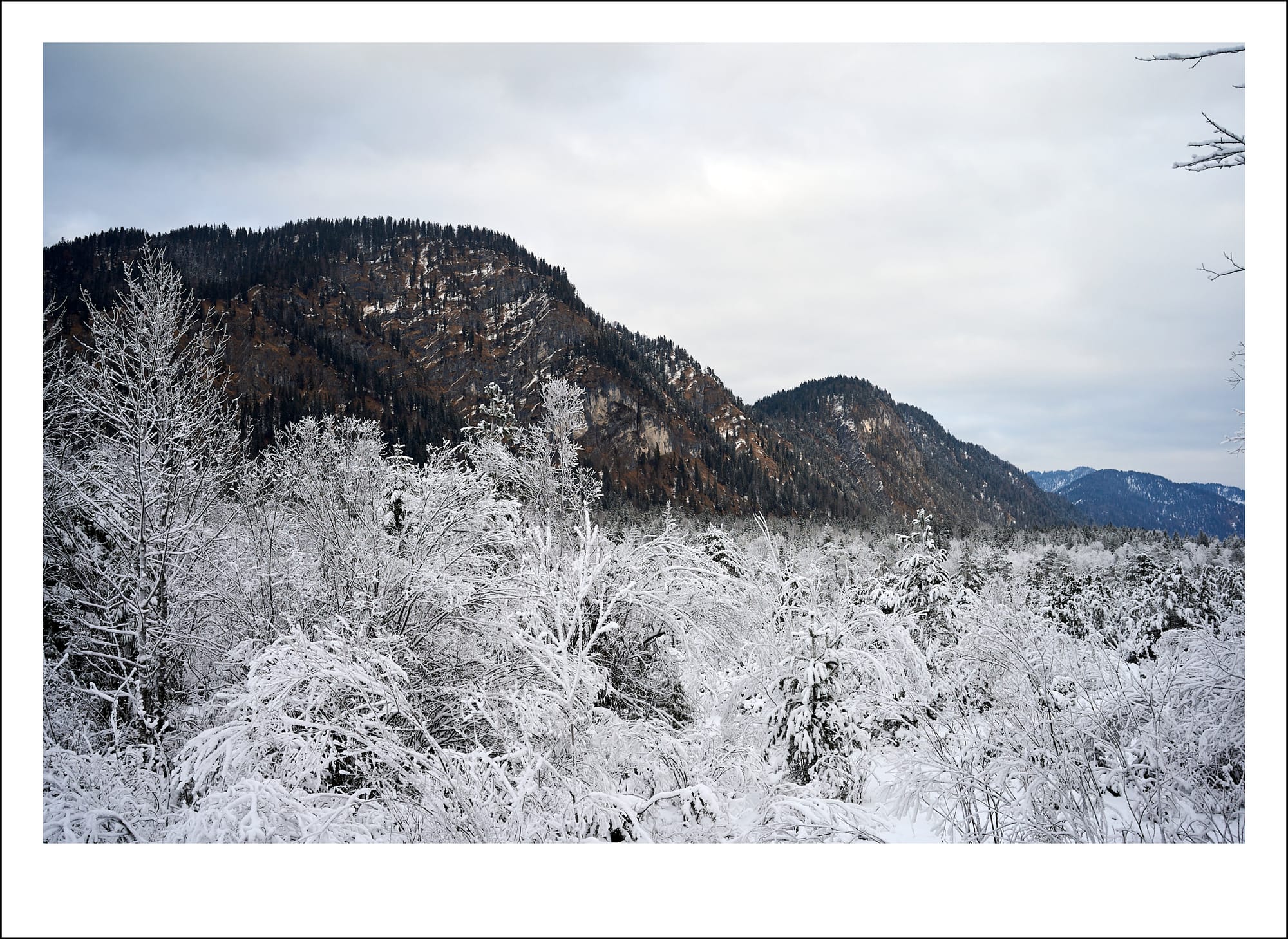RO_Sylvenstein_Isar_2026_01_05 30.jpg