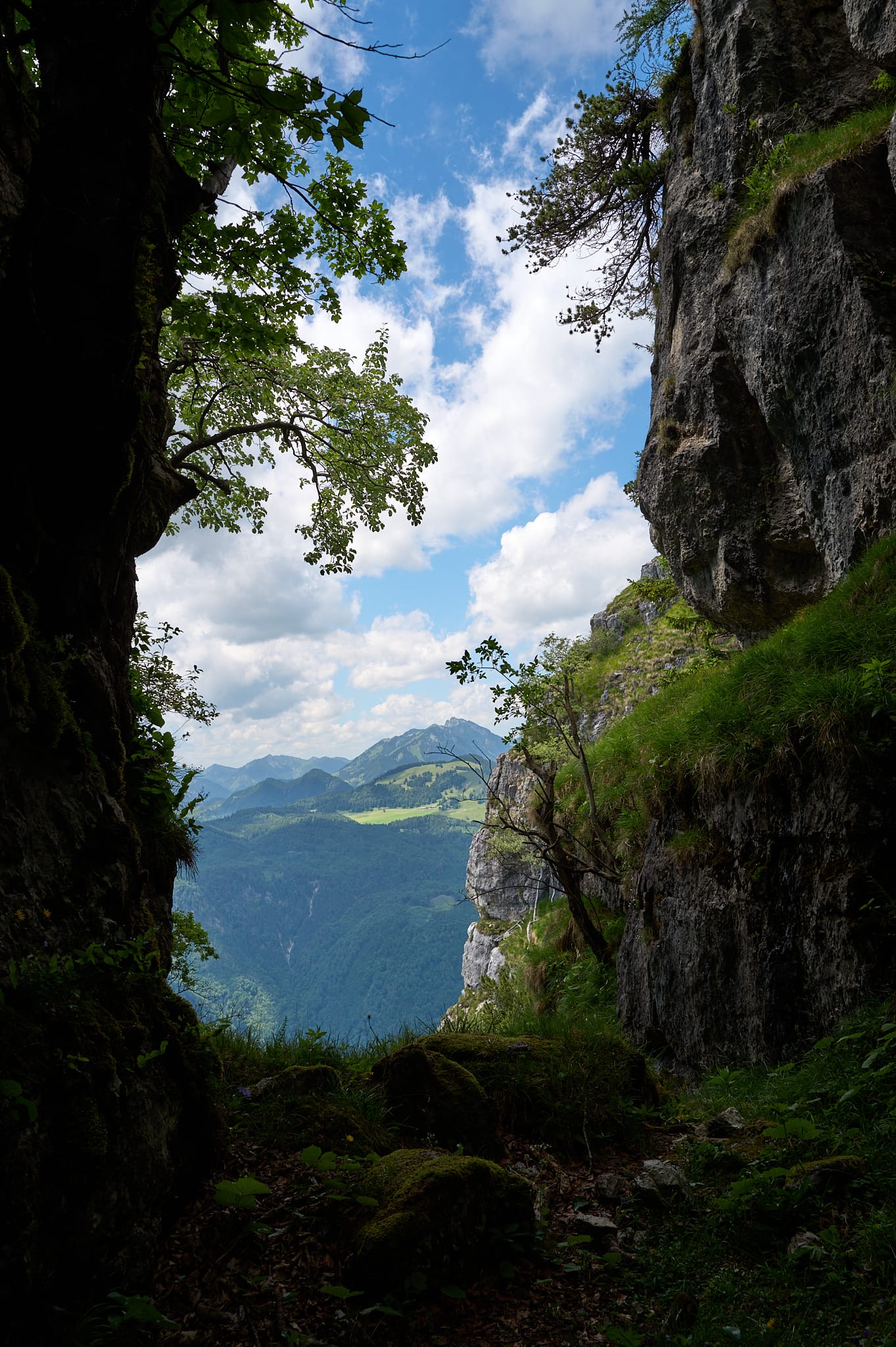 Kranzhorn_20260615 14.jpg
